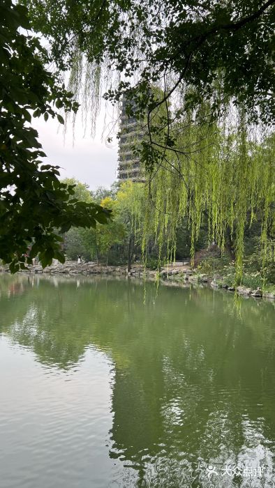 博雅塔图片