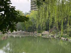 -博雅塔