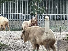 -宁波野生动物园