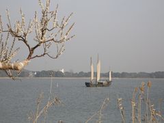 -香雪海