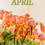 繁花似锦觅安宁