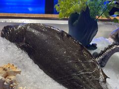 -月下料理(楷林IFC店)