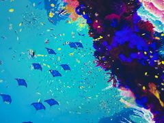 -南戴河国际娱乐中心