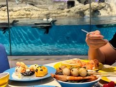 -帝企鹅自助餐厅•儿童岛•真企鹅(长隆企鹅酒店)