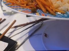 -阿里疆Alijiang·丝路美食·异域风情·清真(长楹天街店)