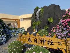 -Blue Concept Cafe&Farm·關於藍