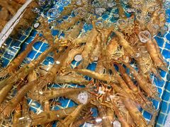 -三亚火车头万人海鲜广场