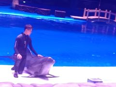 -华夏文旅海洋公园