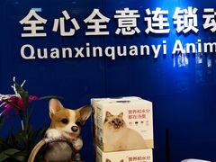 -全心全意连锁动物医院·微创中心·内科急重症·心脏专科(丰管路店)