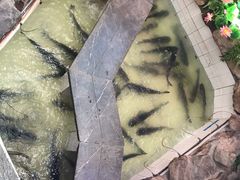-春盛渔府(牛首山店)