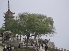 -观潮胜地公园