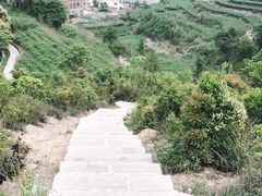 -军营村