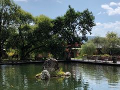 -瑞穗牧场