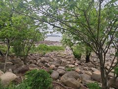 -吴淞炮台湾湿地森林公园烧烤区