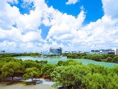 -东华大学(松江校区)