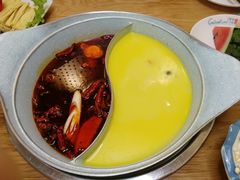 -青瓷火锅料理(西单大悦城店)