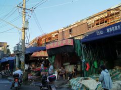 -芦潮港集贸市场