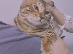 -戏精管理局·剧本杀·桌游·血染钟楼