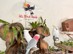 -吉隆坡雀鸟公园