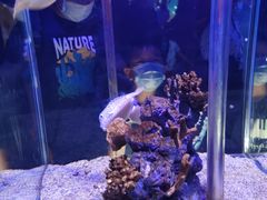 -太平洋海底世界