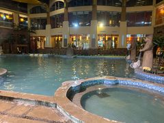 -咸宁万豪温泉谷度假区