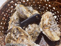 -蚝堡·生蚝海鲜烧烤物种起源•海肠捞饭(刘公岛店)