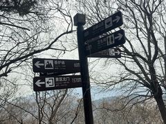 -香山公园