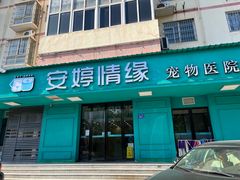 -安安宠物医院(情缘分院)