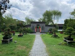 -盆景园(扬州大运河文化旅游度假区)