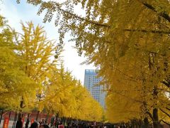 -辽宁大学(崇山校区)