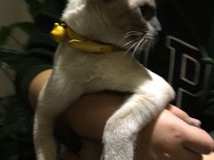 -吱咖啡西式简餐
