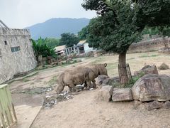 -无锡动物园·太湖欢乐园