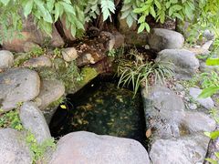 -南岳衡山风景名胜区-南岳大庙