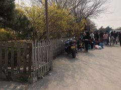 -尚庄度假村·庭台树下·户外烧烤·团建CS·轰趴营地(上庄水库店)