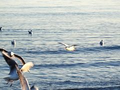 -金梦海湾浴场
