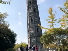 -上海佘山国家森林公园天马山园