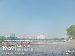 -莲花池公园