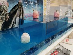 -泡泡玛特POPMART(合生汇店)