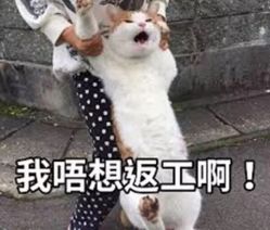 -BABY FACE沙龙