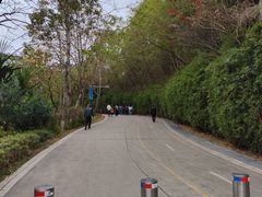-聚龙山公园