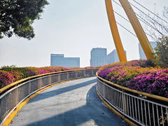 -玉树公园