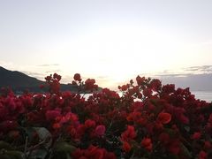 -青澳湾北回归线广场