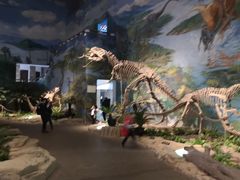 -自贡恐龙博物馆