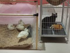 -厝内小眷村(西单大悦城店)