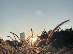 -深圳湾公园(南山区)