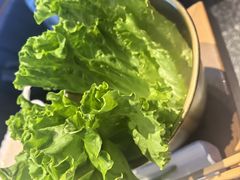 -杨记齐齐哈尔烤肉(总店)