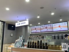 -雾与山茶(大禹城店)