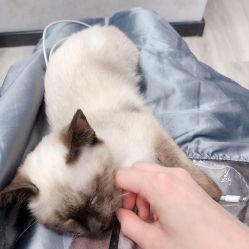 -KIMI HAIR SALON·烫染设计店