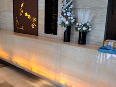 -上海龙之梦万丽酒店