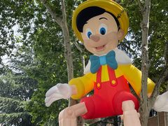 -西安电影制片厂